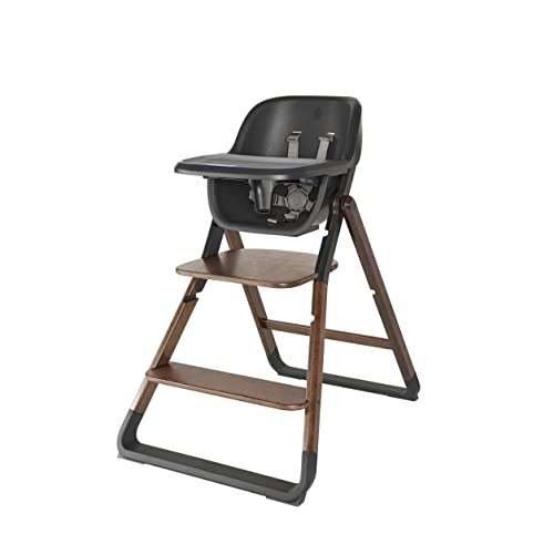 Ergobaby Evolve High Chair 2-in-1 Set Ergonomischer Hochstuhl für Babys Mitwachsend ab 6 Monate, Babyhochstuhl inkl. 5-Punkt-Gurt, Kinderhochstuhl mit verstellbarem Sitz, Dark Wood
