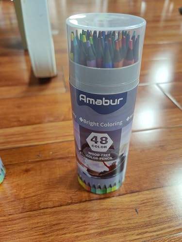 Amabur Set mit 12 Finelinern, 11 verschiedenen Breiten und 1 Pinsel, eine Vielzahl von Funktionen zum Schreiben, Skizzieren und Malen, für Studenten, Architekten, Künstler.