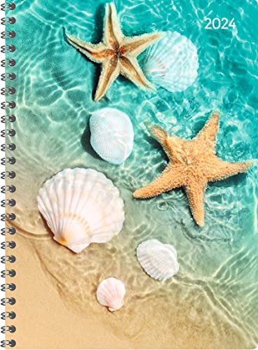 Ladytimer Ringbuch Beach 2024 - Taschen-Kalender A5 (15x21 cm) - Schüler-Kalender - Weekly - Ringbindung - 128 Seiten - Alpha Edition