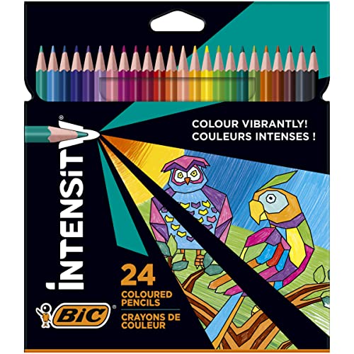 BIC Intensity Buntstifte, Dreikant-Malstifte, Farbstifte zum Malen in 24 Farben, im Karton Etui, Bruchsichere Mine & ohne Holz (Paket kann variieren) 24 Stück